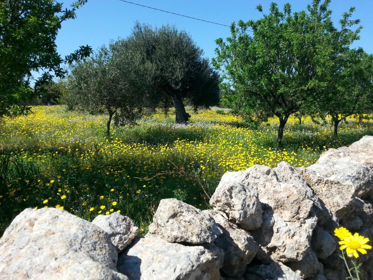 The Proud Garden Bed & Breakfast Carovigno Exterior foto
