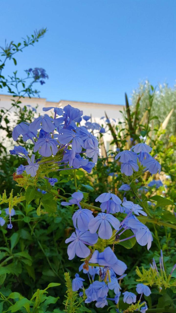 The Proud Garden Bed & Breakfast Carovigno Exterior foto